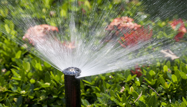 sprinkler head watering the bush and grass